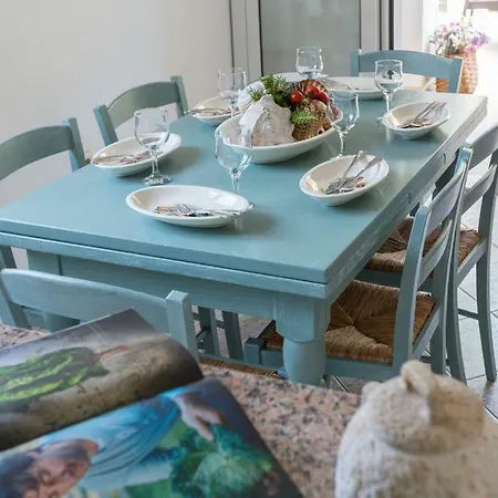 Tatil Evi Holiday